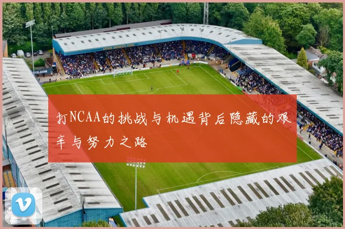 打NCAA的挑战与机遇背后隐藏的艰辛与努力之路