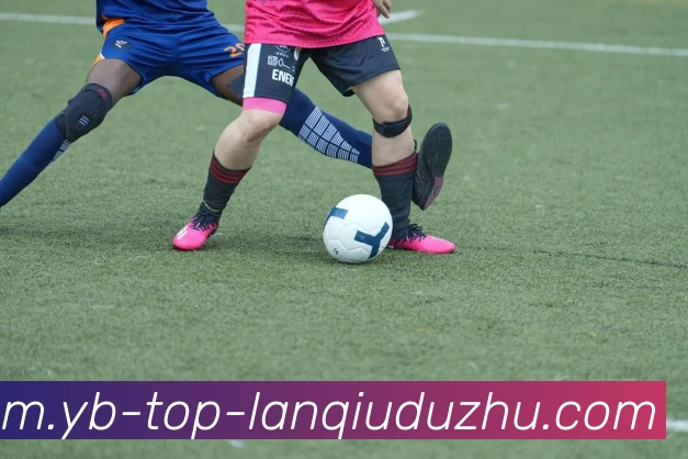 篮球赌注平台生态图